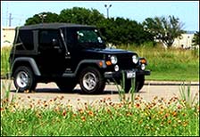Nature - Wildflowers and Jeep by Marilyn Clark image