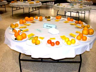 Gardening: Table of Oranges Image